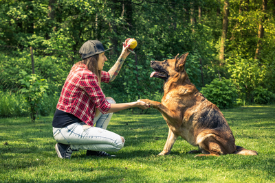 Bubble Theory Dog Training: A Stress-Free Way To Train Your Pup