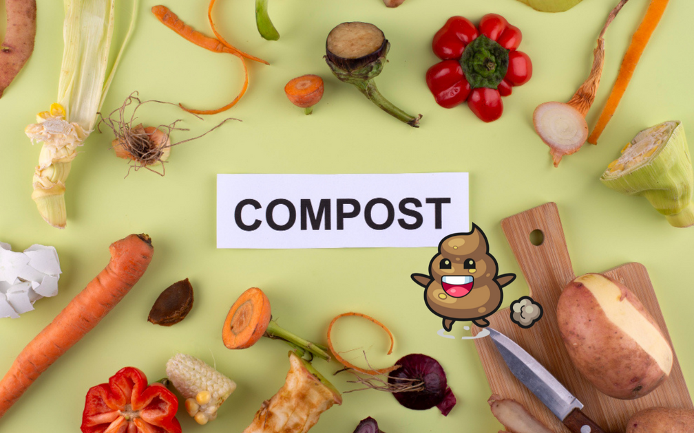 Shit Composter How To Compost Dog Poop In Your Balcony: DIY Dog Waste Composter – Give ...
