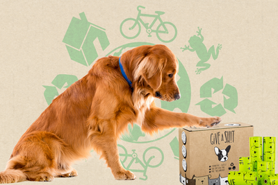Zero-Waste Dog Parenting: Tips For A More Sustainable Lifestyle
