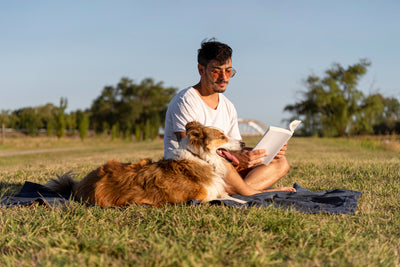 9 Books For A Dog Lover